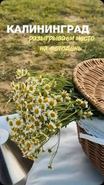 Изображение поста розыгрыша