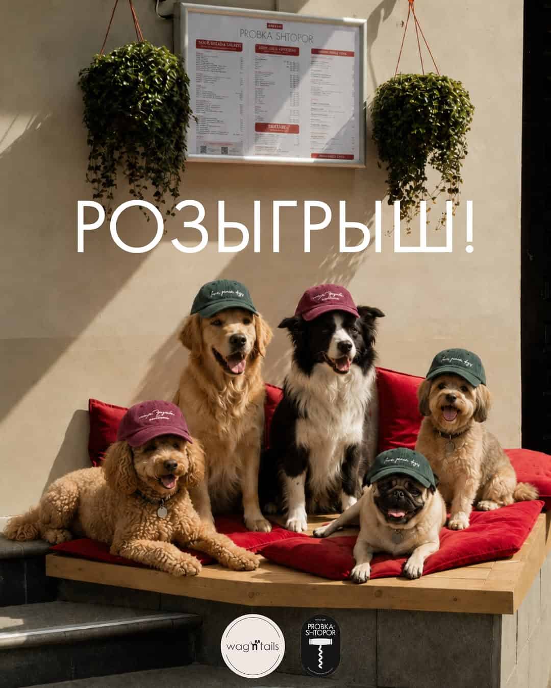 Изображение поста розыгрыша