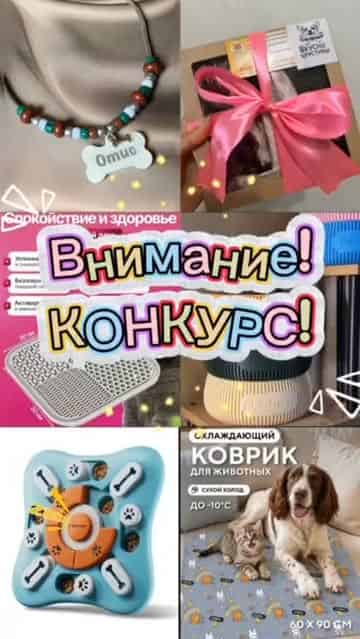 Изображение поста розыгрыша
