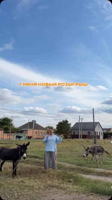 Изображение поста розыгрыша