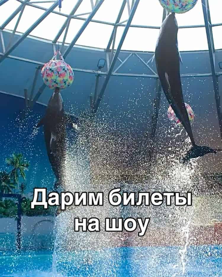 Изображение поста розыгрыша