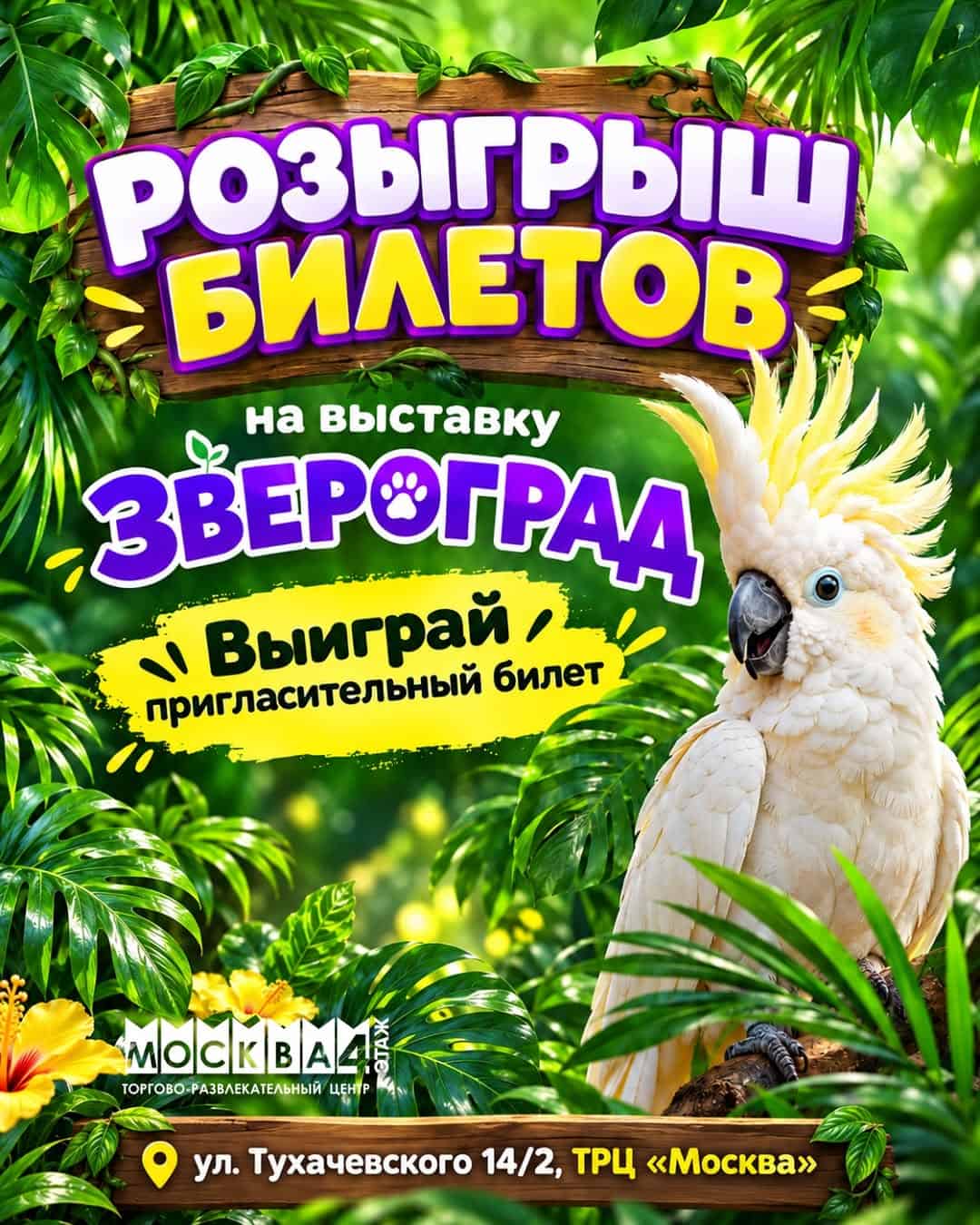 Изображение поста розыгрыша