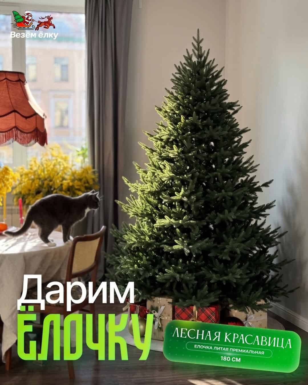 Изображение поста розыгрыша
