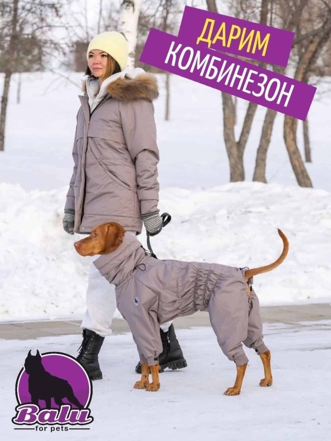 Изображение поста розыгрыша