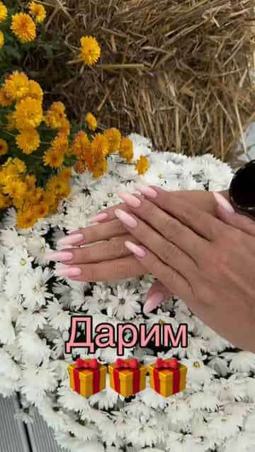 Изображение поста розыгрыша